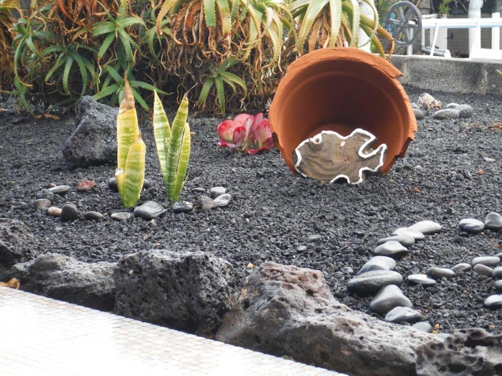 普拉亚布兰卡Casa Aguamarina 23B别墅 外观 照片